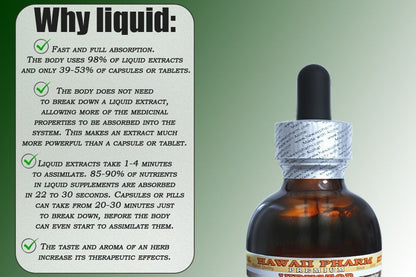 Rhodiola Alcohol-Free Liquid Extract | Organic Rhodiola Glycerite 2 fl oz