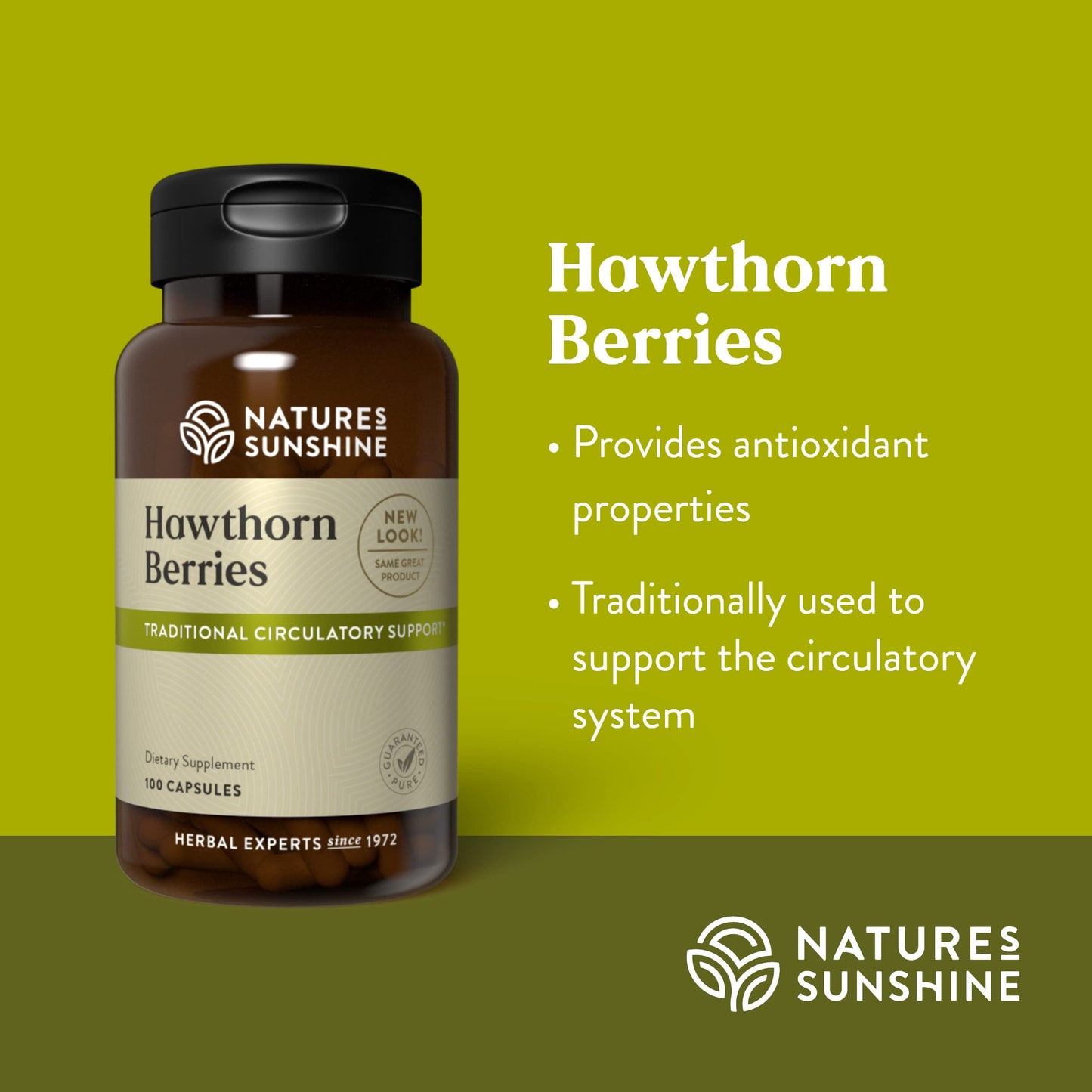 Nature's Sunshine Hawthorn Berries, 100 Capsules – Heart Health & Circulatory Support