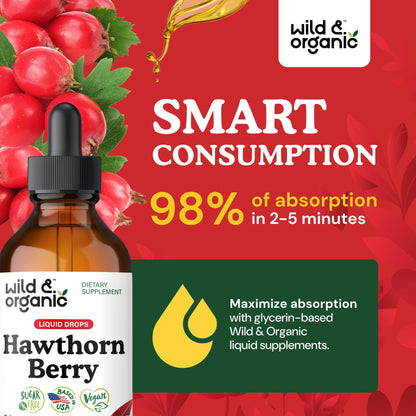 Wild & Organic Hawthorn Berry Tincture 600 mg – Vegan, Alcohol-Free Liquid Drops, 4 fl oz