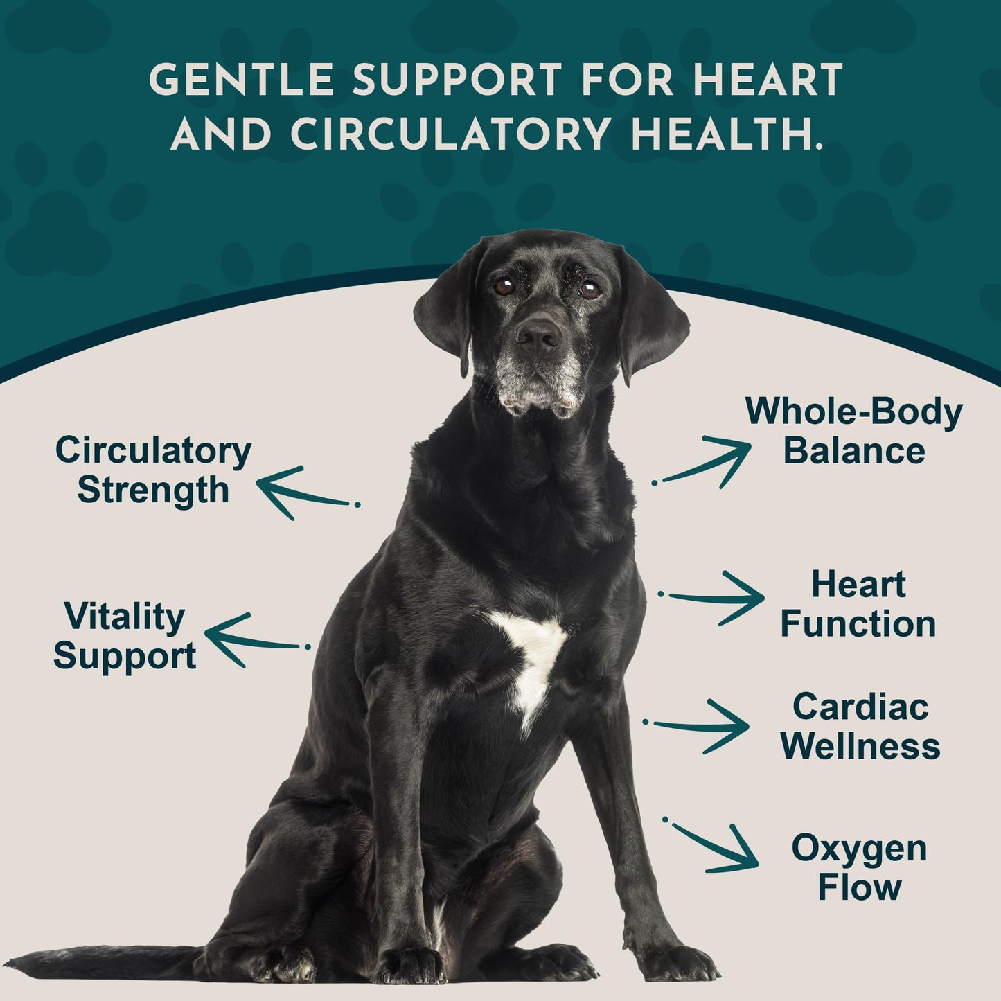 Animal Essentials Hawthorn Berry Supplement for Dogs & Cats – Heart Health Support