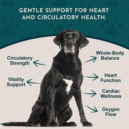 Animal Essentials Hawthorn Berry Supplement for Dogs & Cats – Heart Health Support