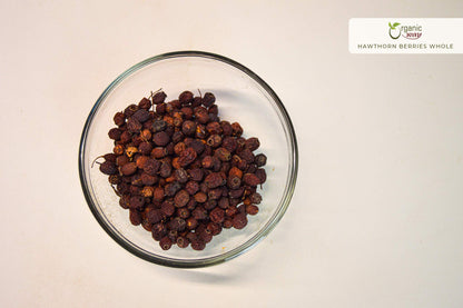Organic Hawthorn Berries Whole – 1 lb (Albania) | Kosher • Vegan • Non-GMO