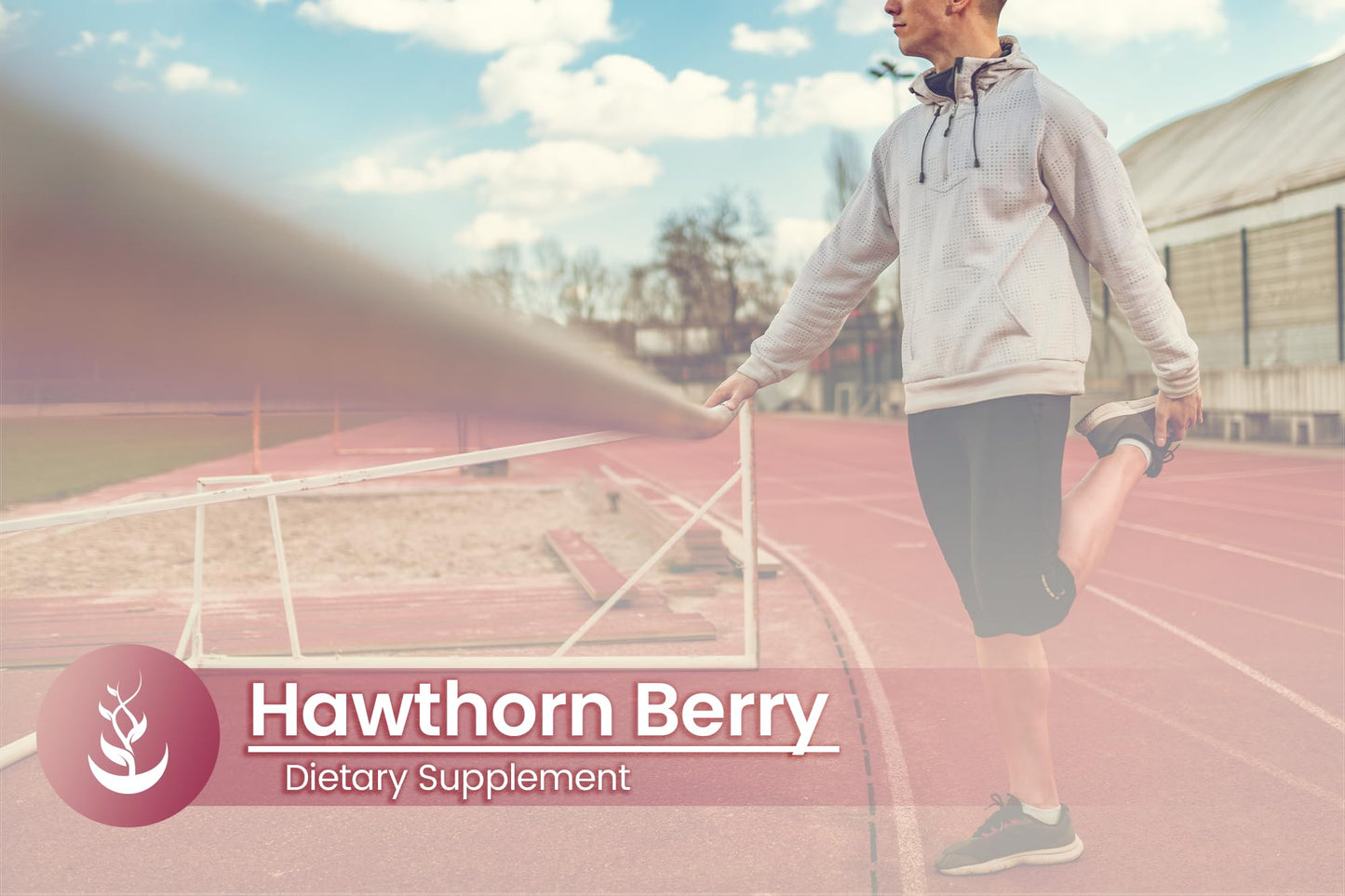 Hawthorn Berry 100 Capsules - Pure Original Ingredients, Lab Verified