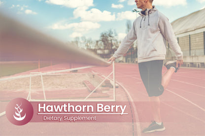 Hawthorn Berry 100 Capsules - Pure Original Ingredients, Lab Verified