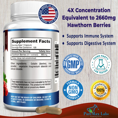 YUMMYVITE Hawthorn Berry 4:1 Extract (120 Caps) – Immune Support