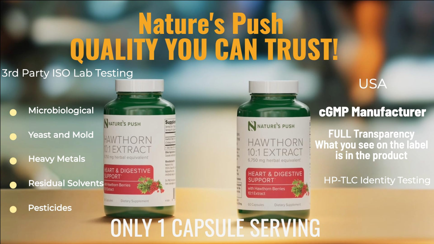 Super Potent Hawthorn Berry 10:1 Extract Capsules – Heart Health, Digestion & Glycemic Support | Non-GMO, Gluten Free, Vegan • USA (60 Count)