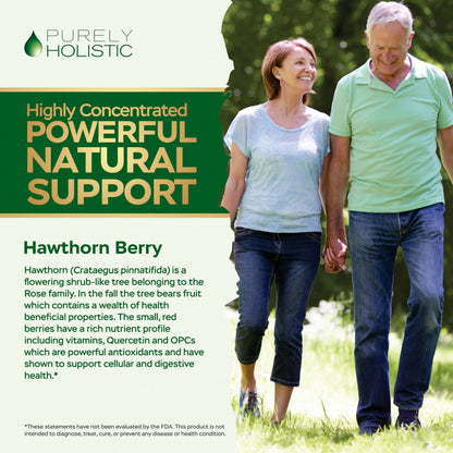 Purely Holistic Hawthorn Berry - 150 Vegan Capsules | 5 Month Supply | High Strength 4:1 Extract | Non-GMO