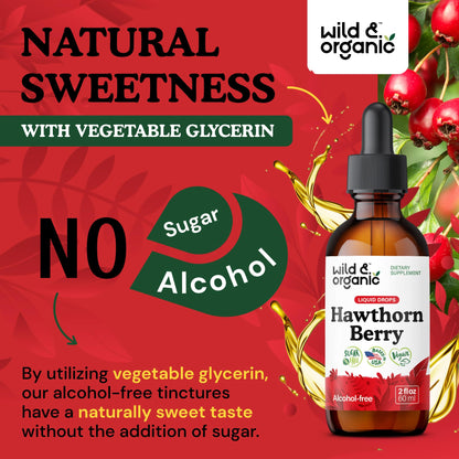 Wild & Organic Hawthorn Berry Extract Drops 600 mg | Vegan, Alcohol-Free | 2 oz