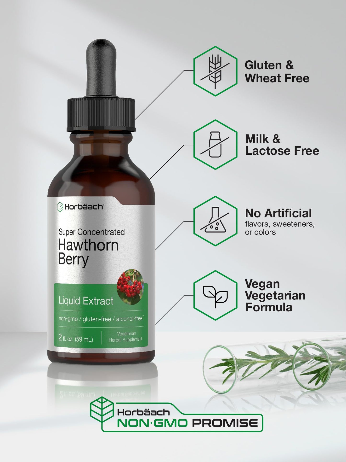 Horbäach Hawthorn Berry Extract | 2 fl oz Alcohol-Free Tincture | Vegetarian, Non-GMO, Gluten Free