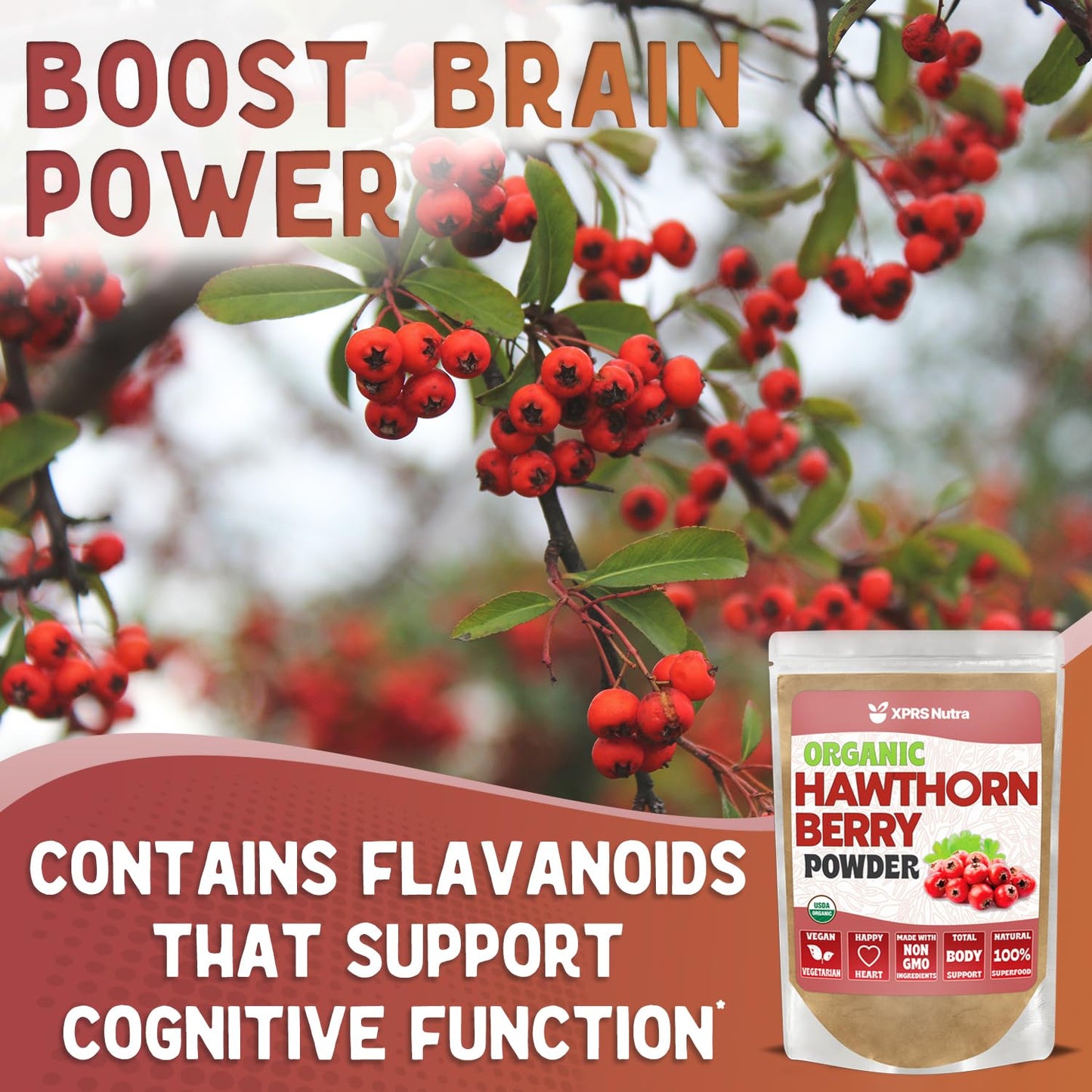 XPRS Nutra Organic Hawthorn Berry Powder – Cardiovascular Support, USDA Organic (8 oz) – Vegan