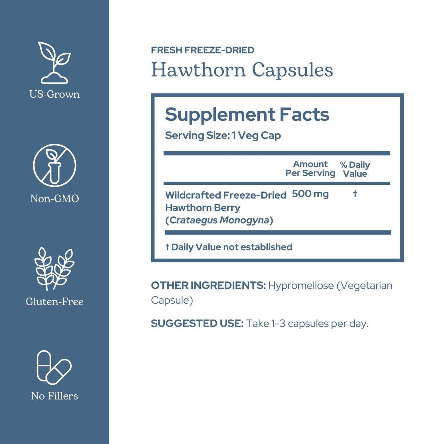 Eclectic Institute Hawthorn Berry – Raw Freeze-Dried, Non-GMO | 90 CT (500 mg)