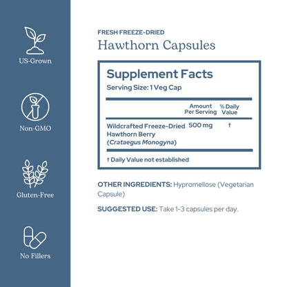 Eclectic Institute Hawthorn Berry – Raw Freeze-Dried, Non-GMO | 90 CT (500 mg)