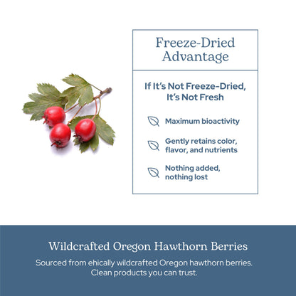 Eclectic Institute Hawthorn Berry – Raw Freeze-Dried, Non-GMO | 90 CT (500 mg)