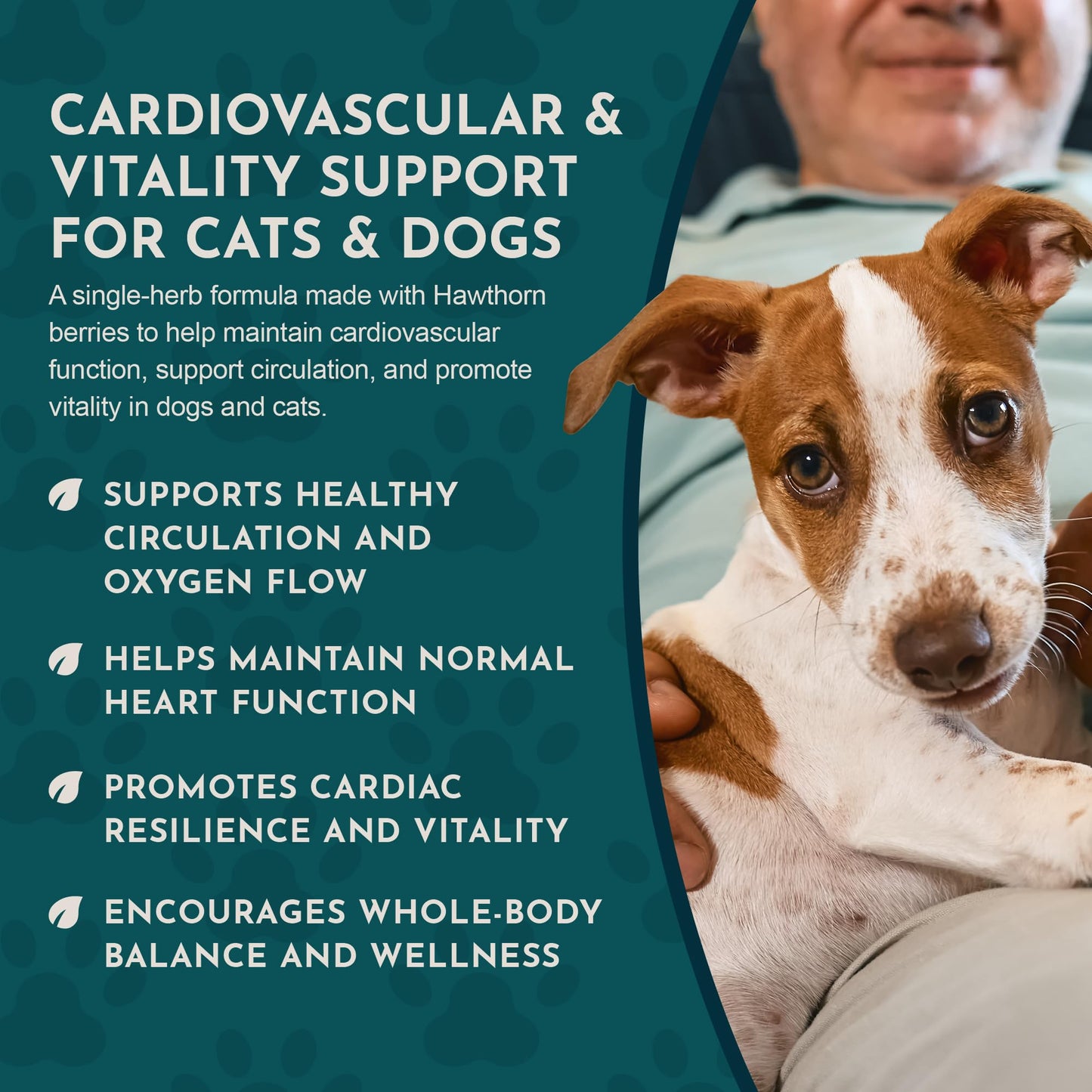 Animal Essentials Hawthorn Berry Supplement for Dogs & Cats – Heart Health Support