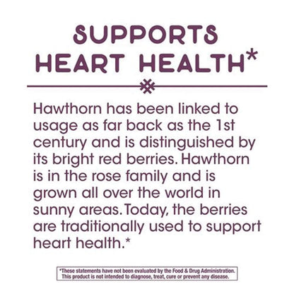 Hawthorn Standardized Extract - 90 Capsules | Heart Health Support
