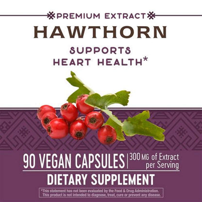 Hawthorn Standardized Extract - 90 Capsules | Heart Health Support