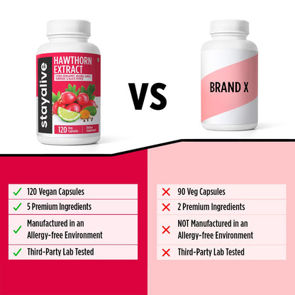 STAY ALIVE Hawthorn Berry Capsules 20:1 Extract – 6-in-1 Antioxidant, 120 Vegan Pills