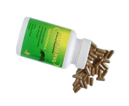 Hawthornia (Early Hernia Remedy) - 60 Capsules