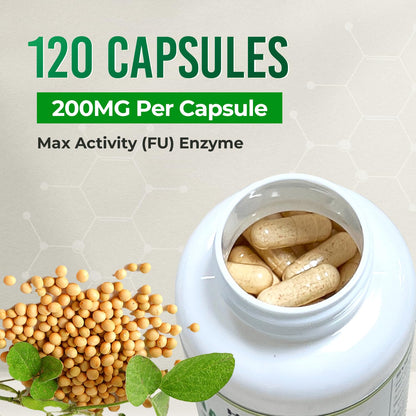 Hazel's Choice Nattokinase 4000 FU – 120 Capsules | 200 mg per Capsule | Non-GMO & Gluten-Free