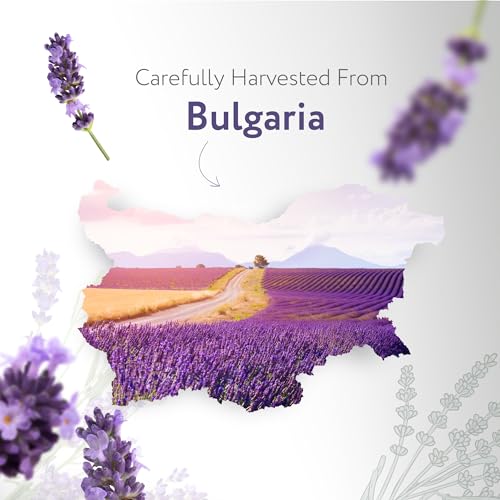 HBNO California Organic Lavender Essential Oil – 1 fl oz (30ml) | USDA Certified Organic