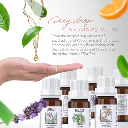 HBNO Essential Oils Set (10ml) - Top 6 Oils for Aromatherapy, DIY Skincare & More | Lavender, Eucalyptus, Tea Tree, Peppermint, Orange, Lemongrass