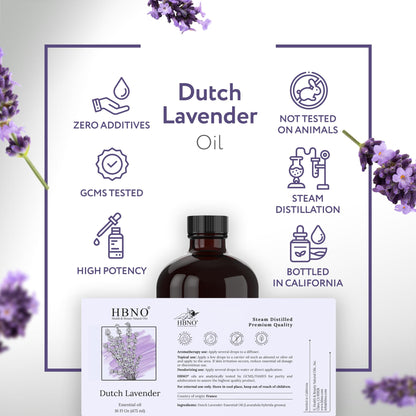 HBNO Lavender Dutch Oil - 16 oz (475 ml) Glass Bottle | Hexane-Free, Cruelty-Free