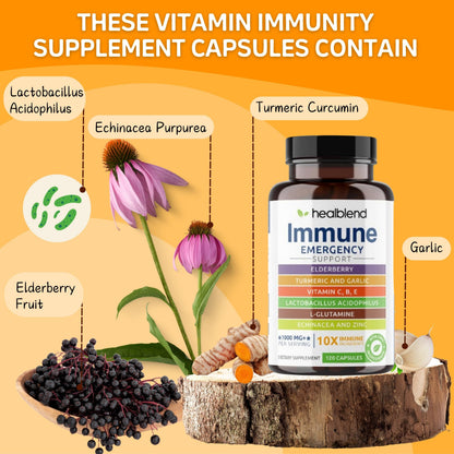 HealBlend 10 in 1 Immune Support Supplement Booster – Elderberry, Zinc, Echinacea, Turmeric, Probiotics | Adults 120 Capsules