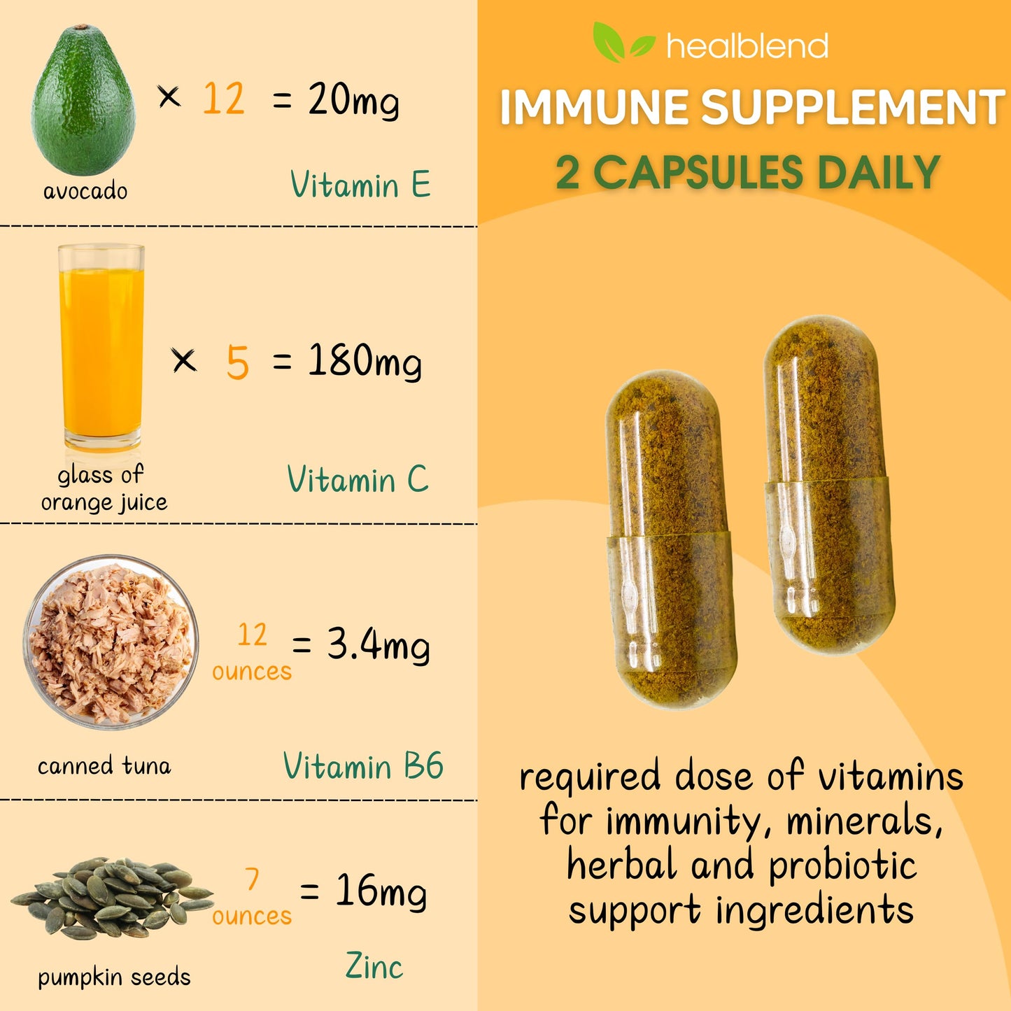 HealBlend 10 in 1 Immune Support Supplement Booster – Elderberry, Zinc, Echinacea, Turmeric, Probiotics | Adults 120 Capsules