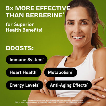 HealMeal Dihydroberberine – Organic Berberine with Cinnamon & RLA, 120 Caps