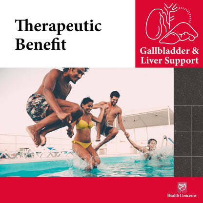 Health Concerns GB-6 Gallbladder Support – 90 Capsules | Chinese Herbal Formula