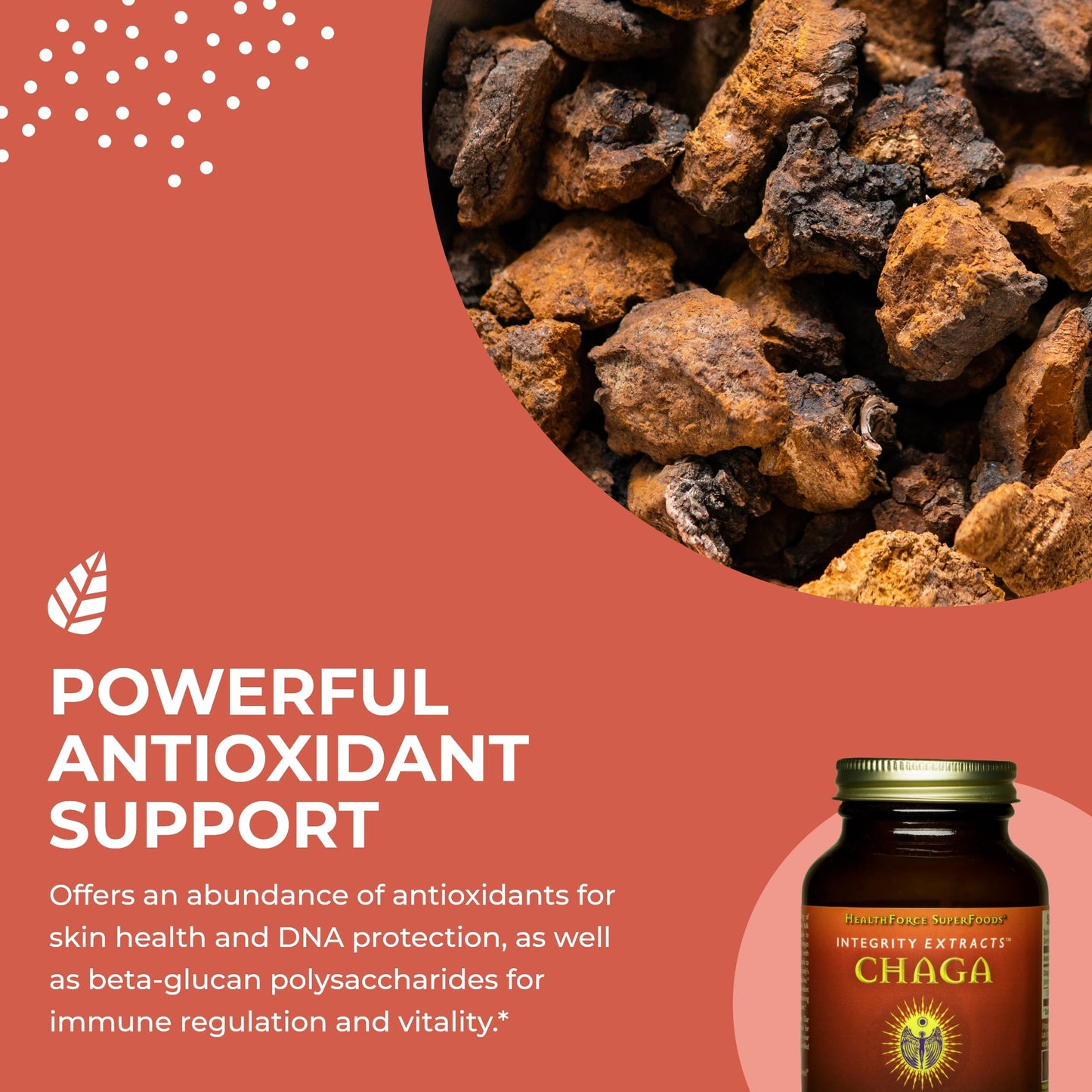 HealthForce SuperFoods Integrity Extracts Chaga Powder – 70 g | Organic, Vegan, Kosher, Gluten-Free