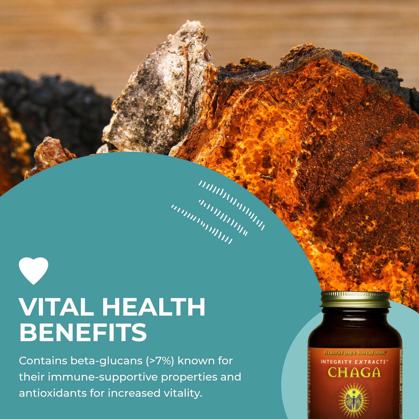 HealthForce SuperFoods Integrity Extracts Chaga Powder – 70 g | Organic, Vegan, Kosher, Gluten-Free