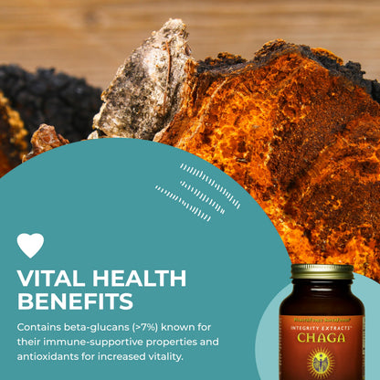 HealthForce SuperFoods Integrity Extracts Chaga Powder – 70 g | Organic, Vegan, Kosher, Gluten-Free