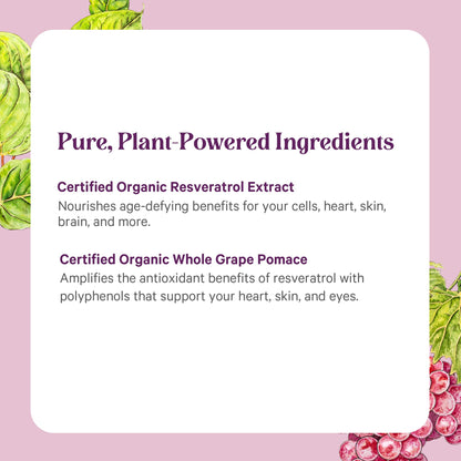 Pure Synergy SuperPure Resveratrol Extract | Organic Trans-Resveratrol with Grape Polyphenols - 60 Capsules