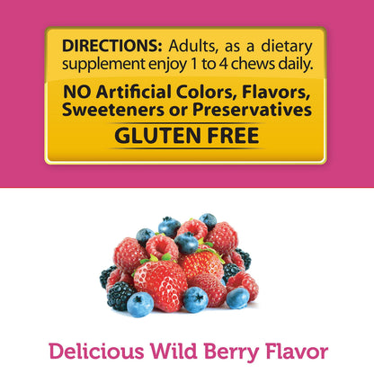 Healthy Delights Naturals Biotin Soft Chews 5000mcg, Wild Berry – Hair, Skin & Nails