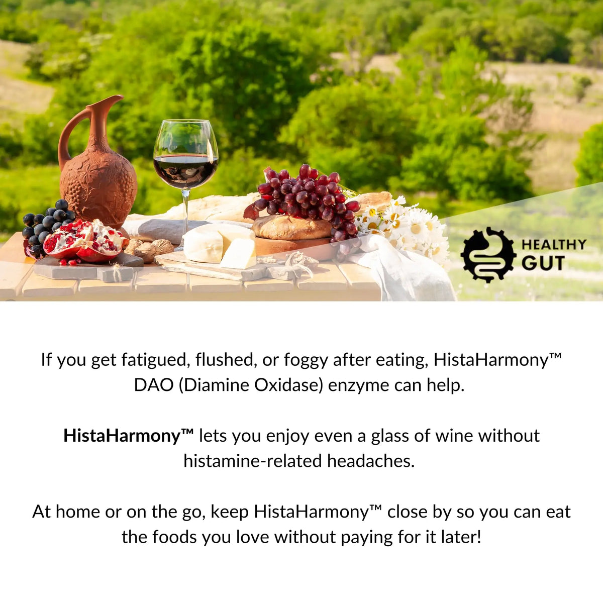 Healthy Gut HistaHarmony DAO Enzyme Supplement – 30,000 HDU, Delayed Release, 60 Servings BritishVita | Premium UK Vitamins & Wellness Supplements