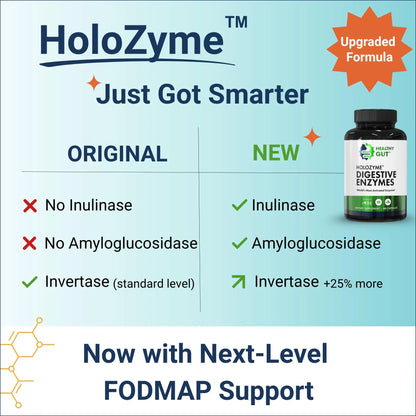 Healthy Gut HoloZyme Max Strength Digestive Enzymes | FODMAP Support with Inulinase, Amyloglucosidase & Invertase | 90 Servings BritishVita | Premium UK Vitamins & Wellness Supplements