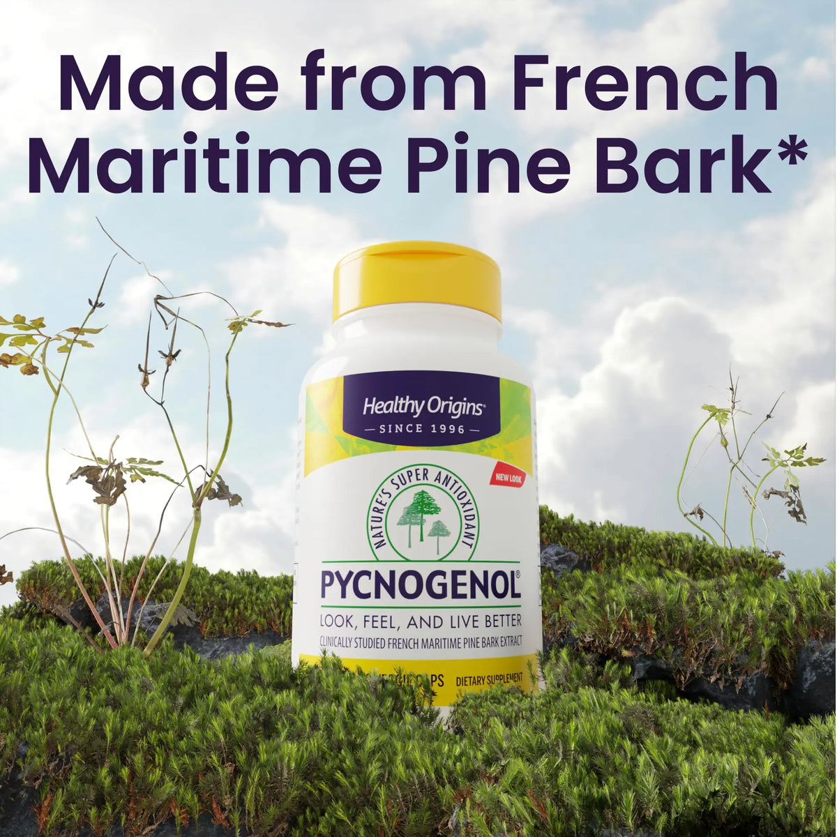 Healthy Origins Pycnogenol 150 mg – French Maritime Pine Bark Extract, Non-GMO, Vegan, 60 Veggie Capsules BritishVita | Premium UK Vitamins & Wellness Supplements