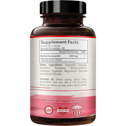High Strength Berberine 500mg – 180 Servings | Vegan, USA Made Antioxidant Support