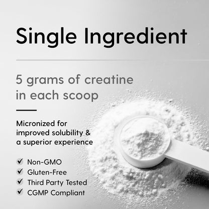 Hearthy Foods Creatine Monohydrate Micronized Powder 500g | 100 Servings, Unflavored