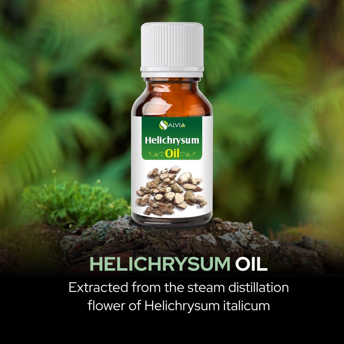Helichrysum Essential Oil (Helichrysum Italicum) - 100% Pure & Natural, Therapeutic Grade, 30 ml