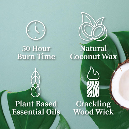 Hemlock Park Amber & Gold Wood Wick Candle – 7.2 oz Coconut Wax