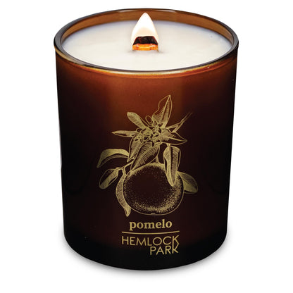 Hemlock Park Amber & Gold Wood Wick Candle – Coconut Wax (7.2 oz) Pomelo Citrus
