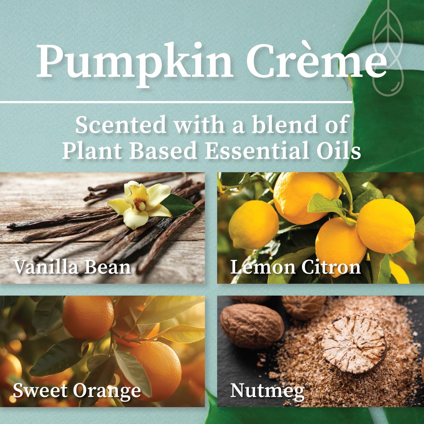 Hemlock Park Crackling Wood Wick Candle - 16 oz Coconut Wax, Pumpkin Creme