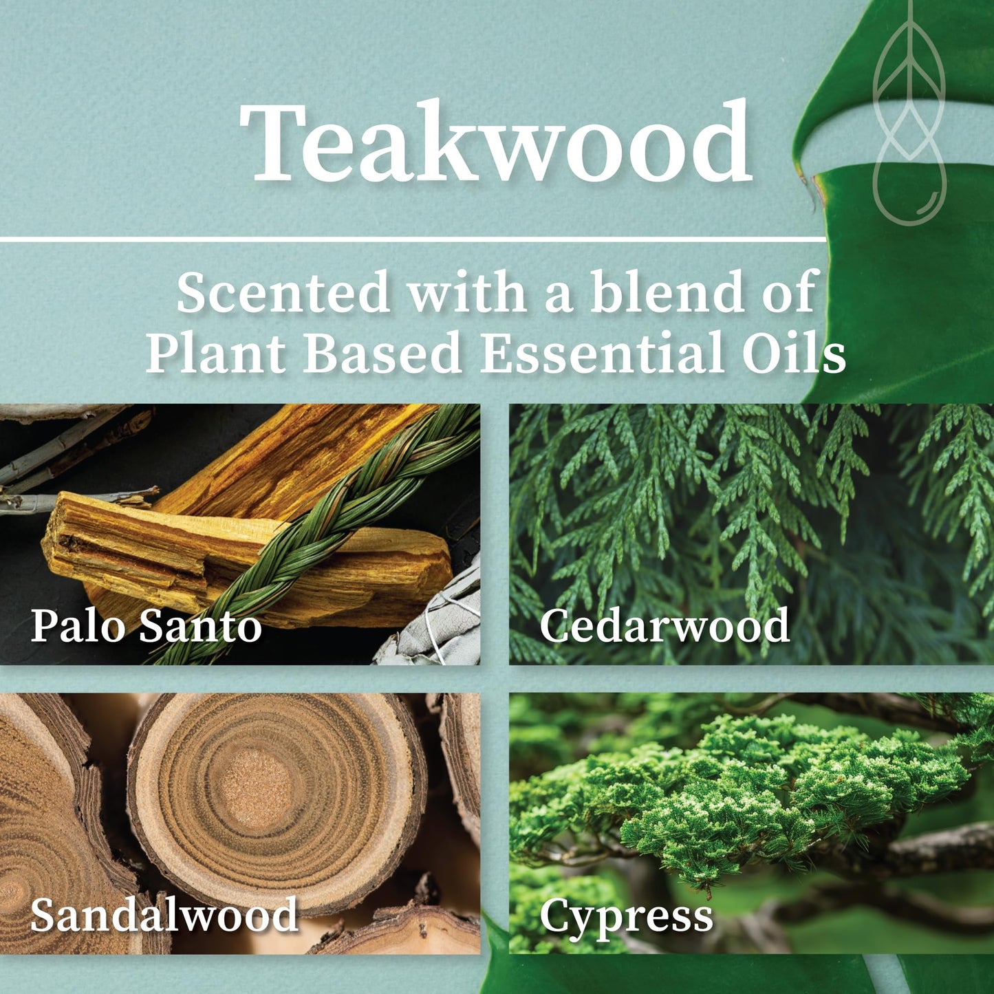 Hemlock Park Crackling Wood Wick Candle – Coconut Wax, Teakwood, 8 oz
