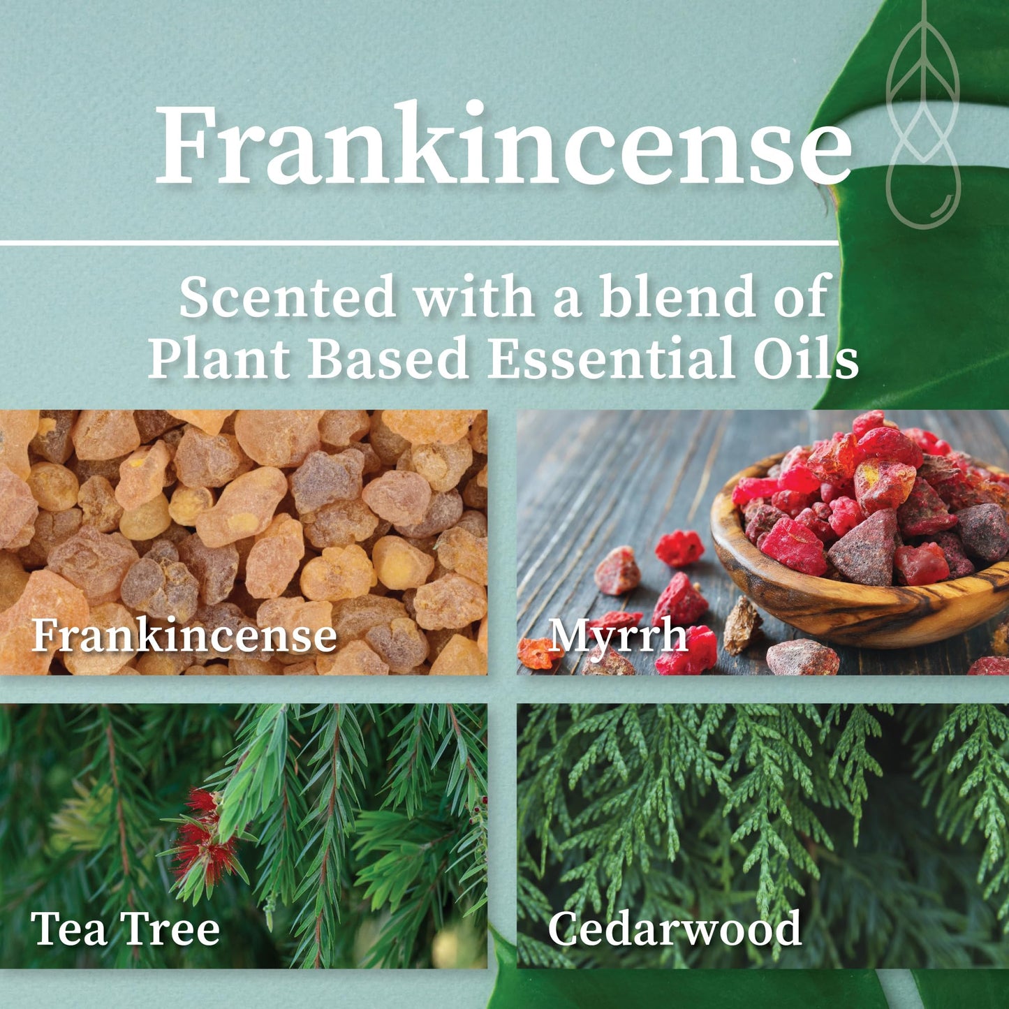 Hemlock Park Crackling Wood Wick Candle – 16 oz, Frankincense
