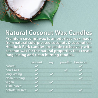 Hemlock Park Crackling Wood Wick Candle - 16 oz Natural Coconut Wax (Lily of The Valley)