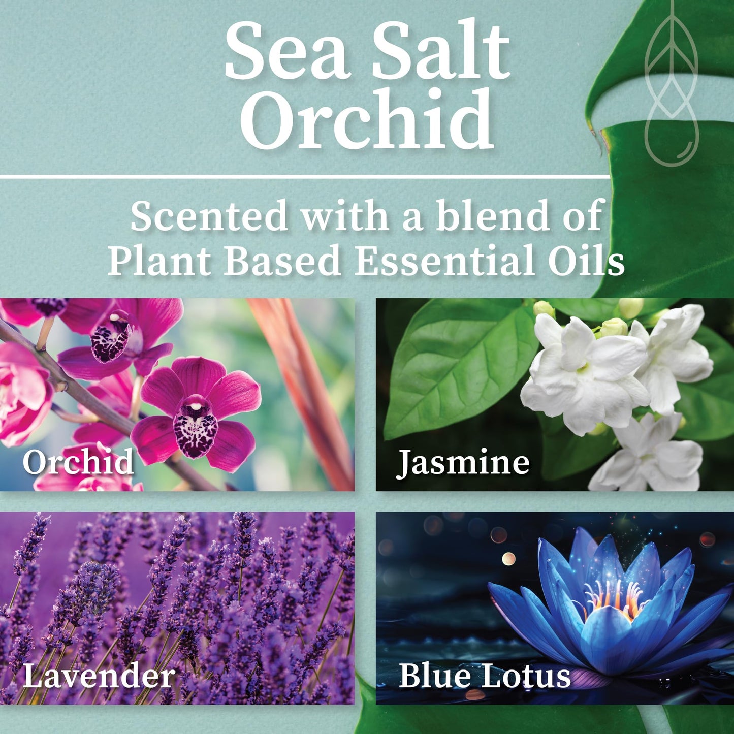 Hemlock Park Frosted Jar Wood Wick Candle - Sea Salt Orchid (7.2 oz)