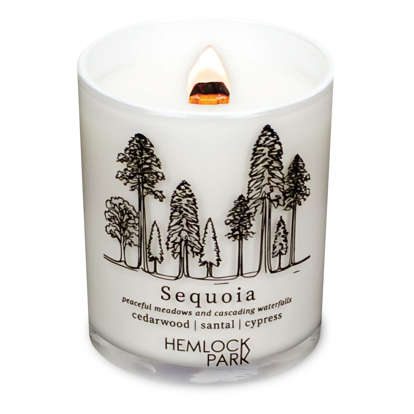 Hemlock Park Travel Inspired Passport Crackling Wood Wick Candle – 7.2 oz Coconut Wax