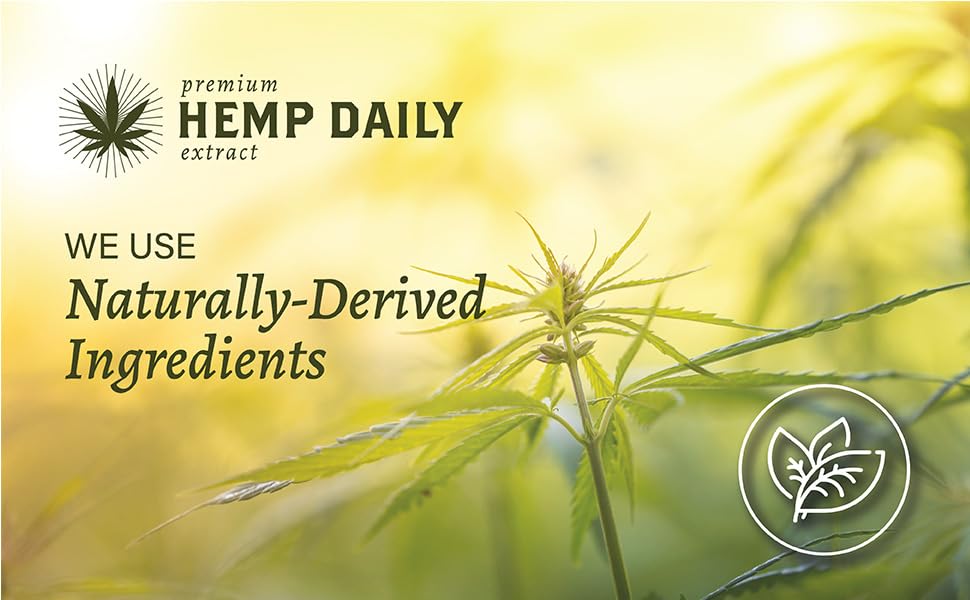 Hemp Daily Active Spray – Organic Hemp Oil with Essential Oils | 2 oz each | 3 Pack | Vegan & Cruelty-Free | THC-Free